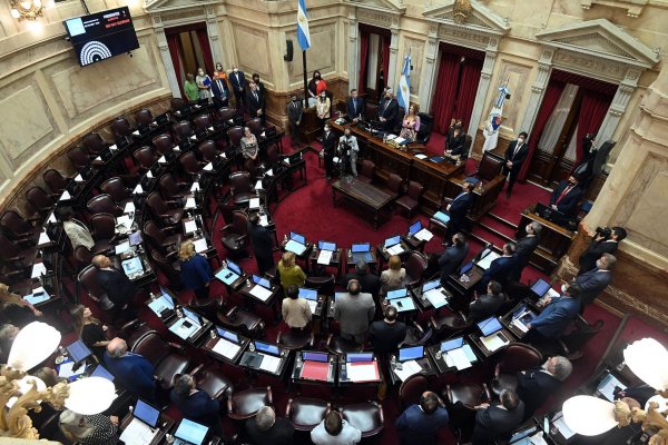 Senadores del Frente de Todos conformarán un grupo interno que buscará torcer la agenda del kirchnerismo