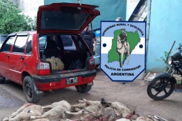 Corrientes: robaron 11 corderos y fueron detenidos