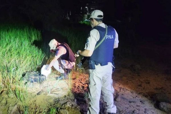 Decomisan 200 kilos de marihuana en varios procedimientos