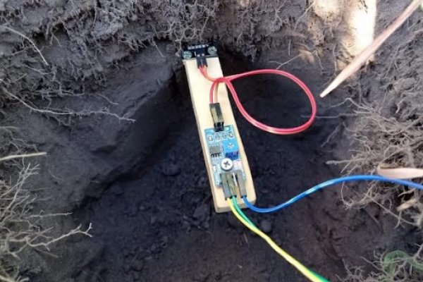 Diseñan un sensor de bajo costo y de fácil manejo para medir la humedad de suelos productivos