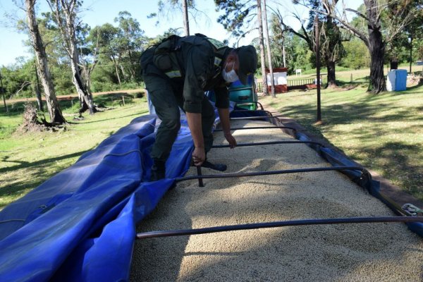 Detuvieron un camión que transportaba soja con documentación irregular