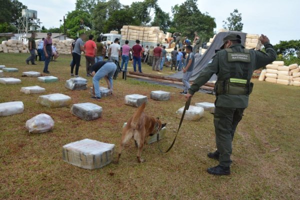 Gendarmes detectaron cuatro toneladas de marihuana ocultas entre paquetes de aserrín