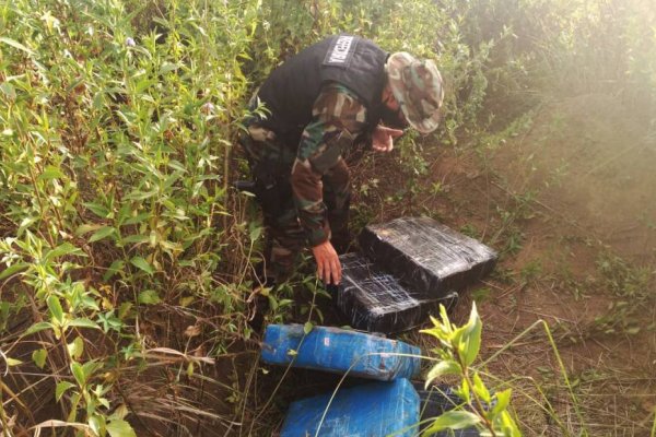 Incautaron más de 125 kilos de marihuana en Corrientes y Misiones