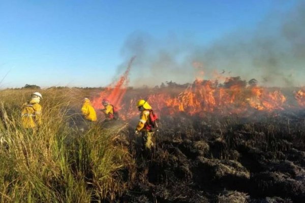 Mocoretá: Quema de pastizales generó focos de incendio