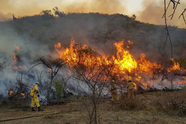 Cinco provincias registran focos activos de incendios forestales
