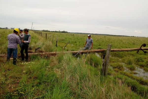 Corrientes: Piden no hacer fuego en zonas cercanas a plantas eléctricas