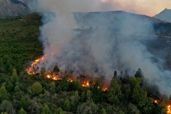 Declaran emergencia ígnea en todo el país por un año