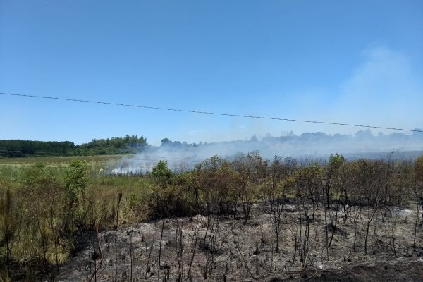 Instan a extremar la prevención de incendios en toda la provincia