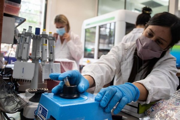 Investigadores del Malbrán celebraron los avances científicos en la carrera para mitigar la pandemia