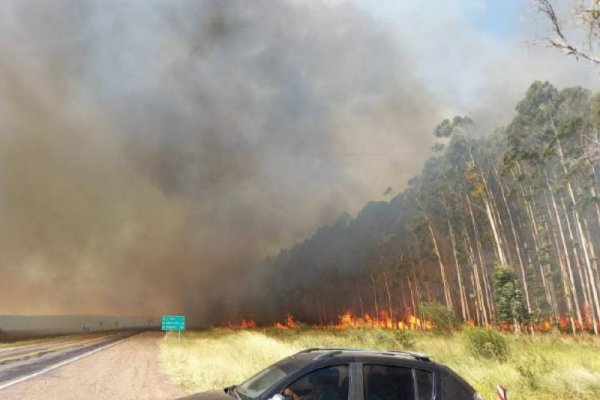 Tras 20 horas de combate, bomberos sofocaron incendios en Mburucuyá