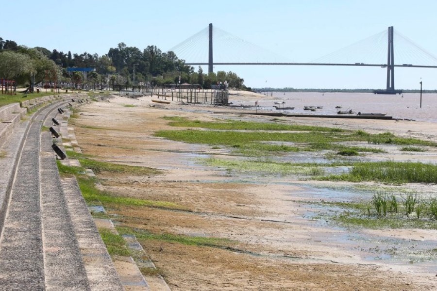 Se mantiene la bajante del río Paraná