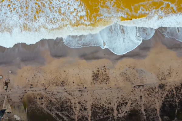 VIDEO| ¿Mar amarillo? Un inusual fenómeno cambia el color de las aguas del mar Negro