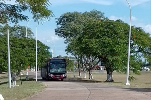 Cómo funciona el servicio de colectivo que une a la ciudad con el aeropuerto