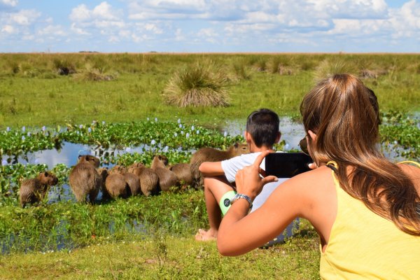 Corrientes: Récord de ocupación con el 100% en los Esteros del Iberá