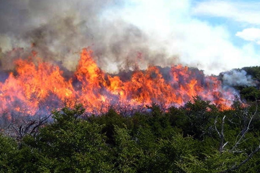 Defensa Civil realiza recomendaciones para evitar incendios forestales