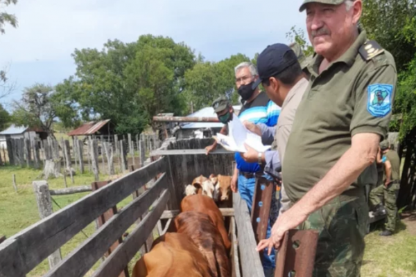 Recuperan otros 102 animales robados