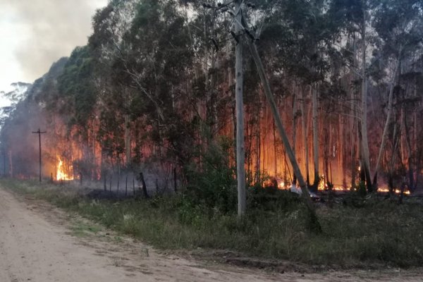 Convocan a industriales a una reunión para tratar el manejo del fuego