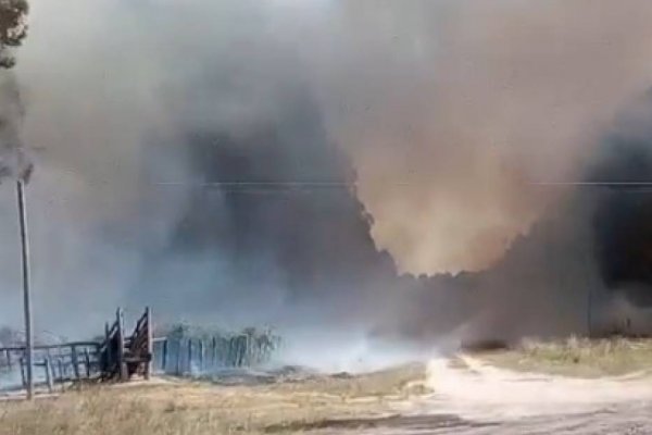 Los incendios forestales afectaron a viviendas en una localidad de Corrientes