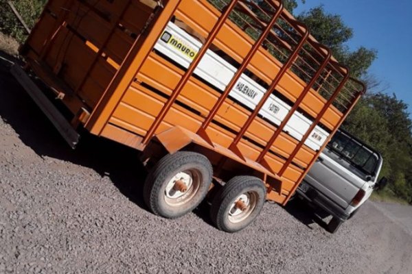 Camioneta con tráiler destruye dos limitadores de altura en el puente Pexoa