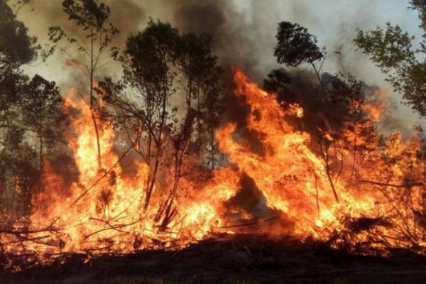 Santa Rosa en un día tuvo 6 incendios en campos y zonas urbanass