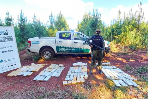 Hallaron más de 88 kilos de marihuana ocultos entre la maleza