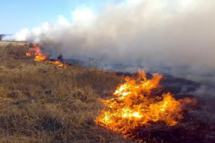 Corrientes: tras los incendios, quedan las incógnitas
