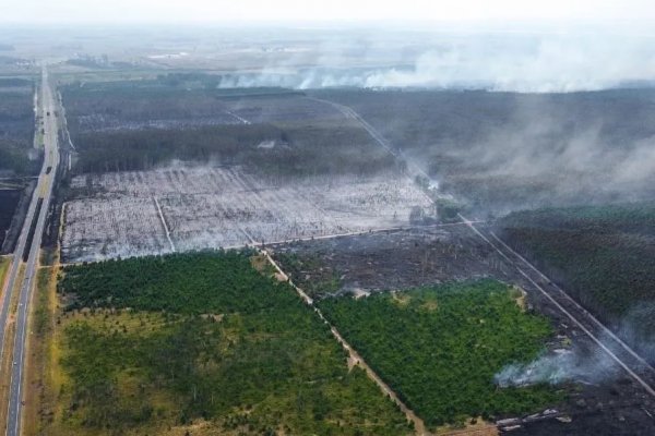 Impactantes imágenes de cómo arrasa el fuego en el interior de Corrientes