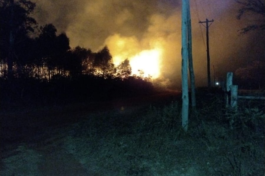 El fuego afectó una forestación y puso en peligro a viviendas en La Cruz