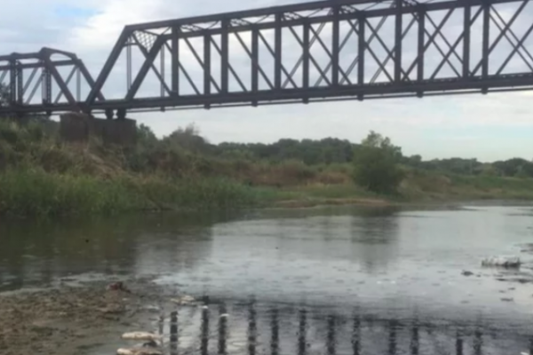 Mortandad de peces por la bajante en Corrientes