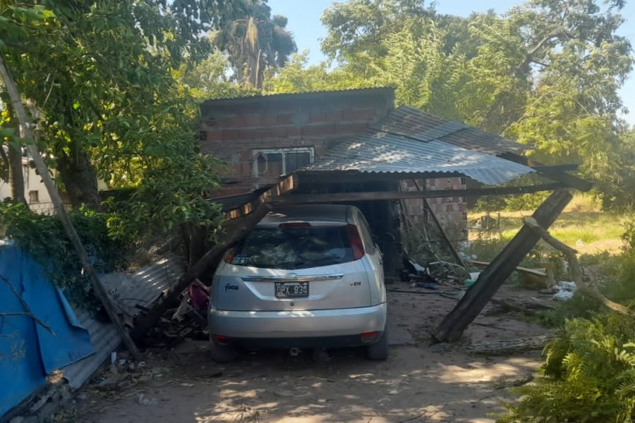 Reclamo en Corrientes y Riachuelo: Cayó un árbol sobre una casa y no van a retirarlo