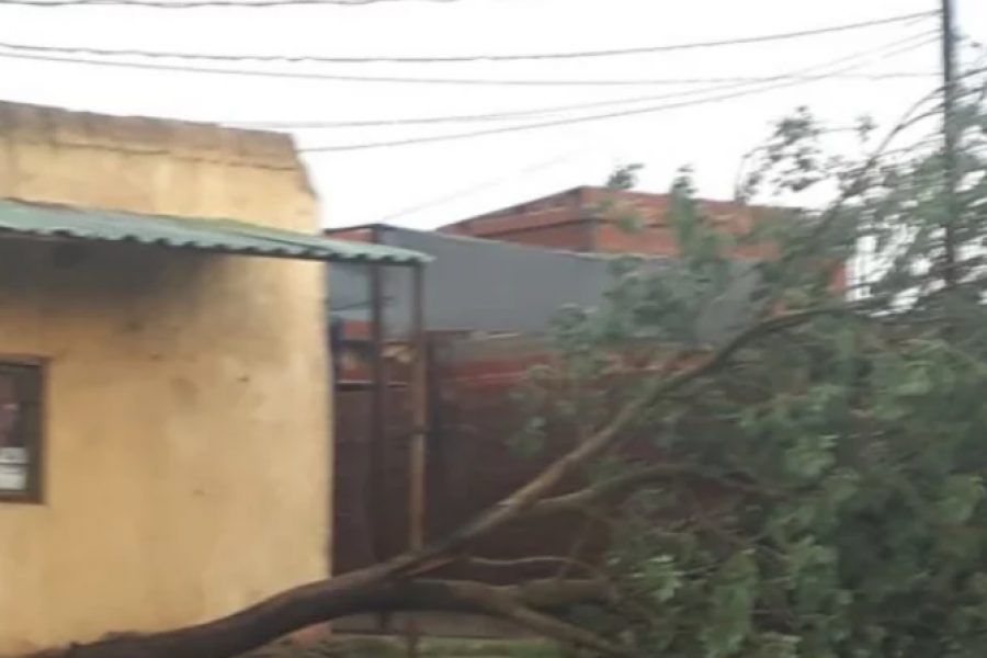 Fuertes tormentas tiraron postes y árboles