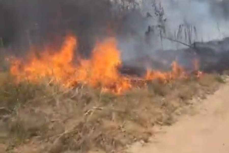 Incendios en Corrientes: se quemaron 2 mil hectáreas en La Cruz y peligran casas en Lavalle