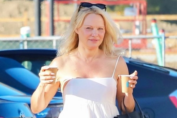 El mal momento de Pamela Anderson: atraviesa su quinto divorcio