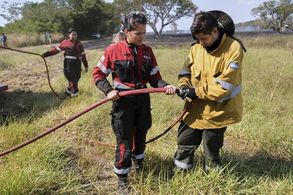 Corrientes, Misiones y Río Negro presentan focos activos de incendios forestales