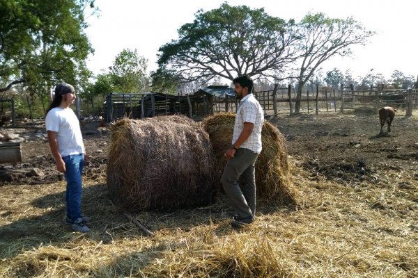 Entregan asistencia a productores de Colonia Progreso