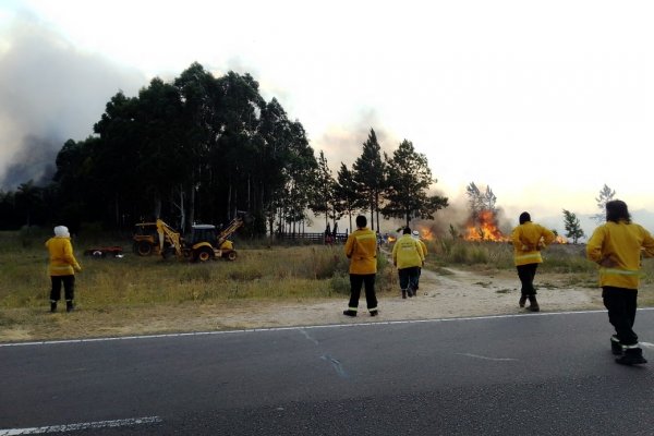 Derivaron al Hospital Escuela a dos Bomberos de Caá Catí