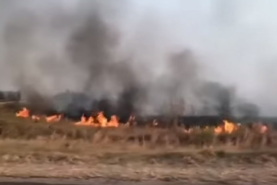 Bomberos combaten las intensas llamas sobre ruta 120, acceso a Yacyretá