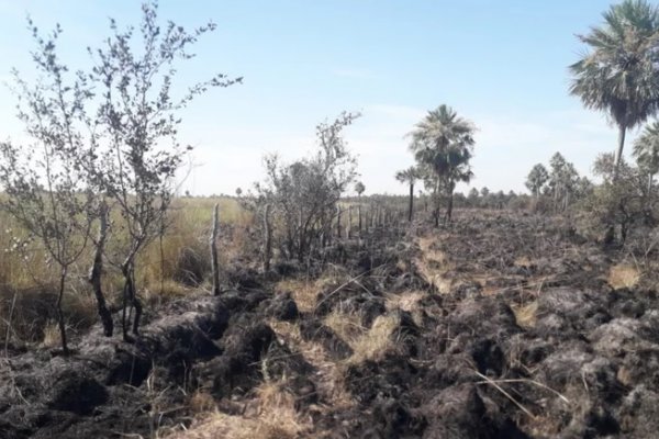 La quema intencional arrasó 6.000 hectáreas en San Luis del Palmar