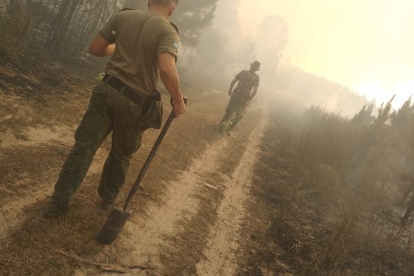 La policía colabora con los Bomberos en el combate contra los incendios