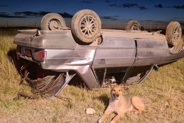 Volcó con su auto y su perro nunca se despegó de él