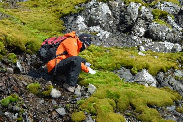 Científicos argentinos investigan bacterias para combatir la contaminación