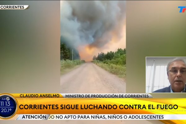 Anselmo sobre los incendios en Corrientes: Seguimos atendiendo la situación de emergencia