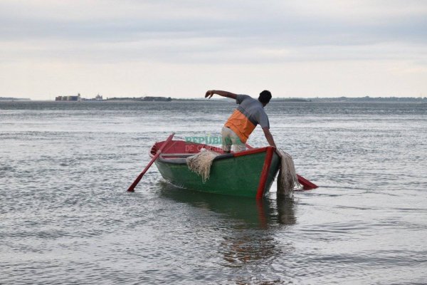 Bajante: La Provincia analiza aplicar una veda total para proteger a los peces