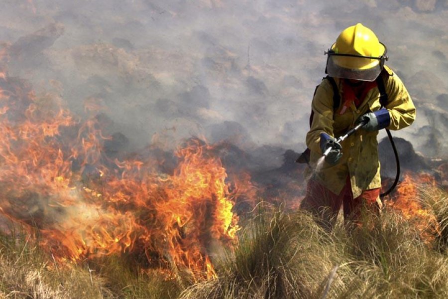 Tres provincias continúan con incendios forestales activos