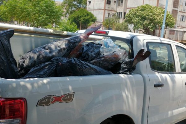 Corrientes: Secuestran 800 kilos de pescados a un acopiador