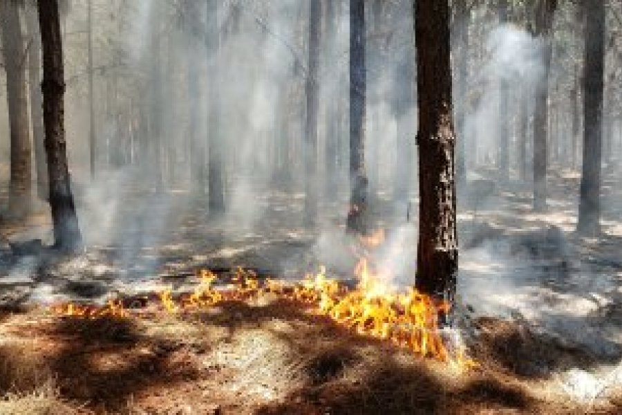 Corrientes: Extienden por todo febrero la prohibición de hacer quemas