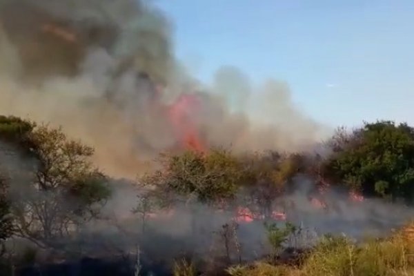 El Gobierno profundiza acciones en el combate contra el fuego