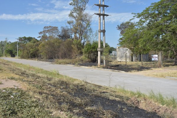 Sequía: Solicitan extremar medidas para evitar incendios en la Ciudad