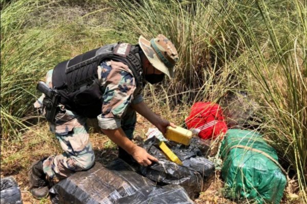 Secuestraron 350 kilos de droga valuada en más de 49 millones de pesos