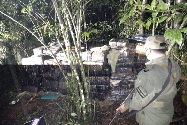 Misiones: Detectan un acopio de más de dos toneladas y media de marihuana